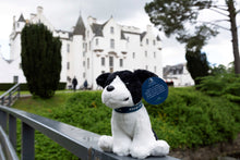 Load image into Gallery viewer, RSABI Collie 'Ambassadogs'