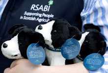 Load image into Gallery viewer, RSABI Collie 'Ambassadogs'