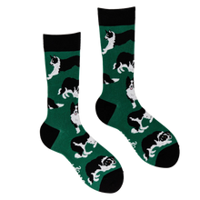 Load image into Gallery viewer, Border Collie Dog Socks - Collies
