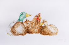 Load image into Gallery viewer, Tea Towel - Ducks and Hen by Gill Wilson
