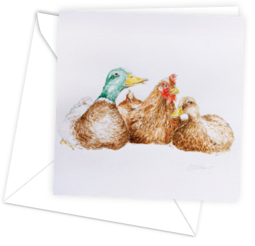 Gill Wilson Deluxe Notecards - Ducks & Hen